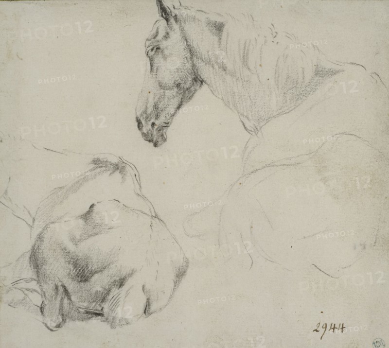 Studies of a horse lying down. Creator: Adriaen van de Velde.