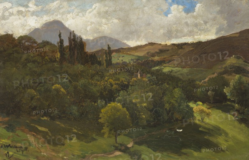 Southern Mountain Landscape. Creator: Alfred Wahlberg.