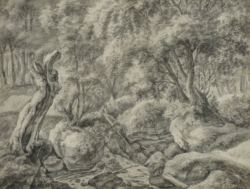 Forest with a stream running between large boulders. Creator: Anthonie Waterloo.
