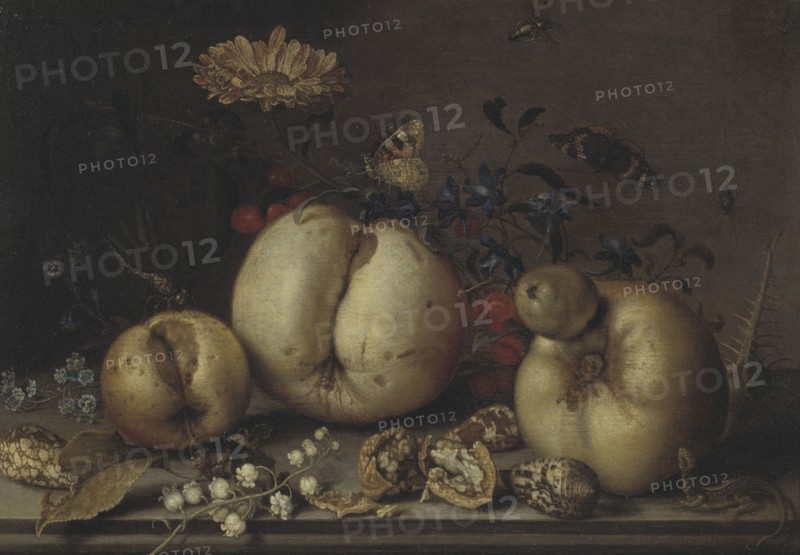 Still Life with Fruit and Shells. Creator: Balthasar van der Ast.