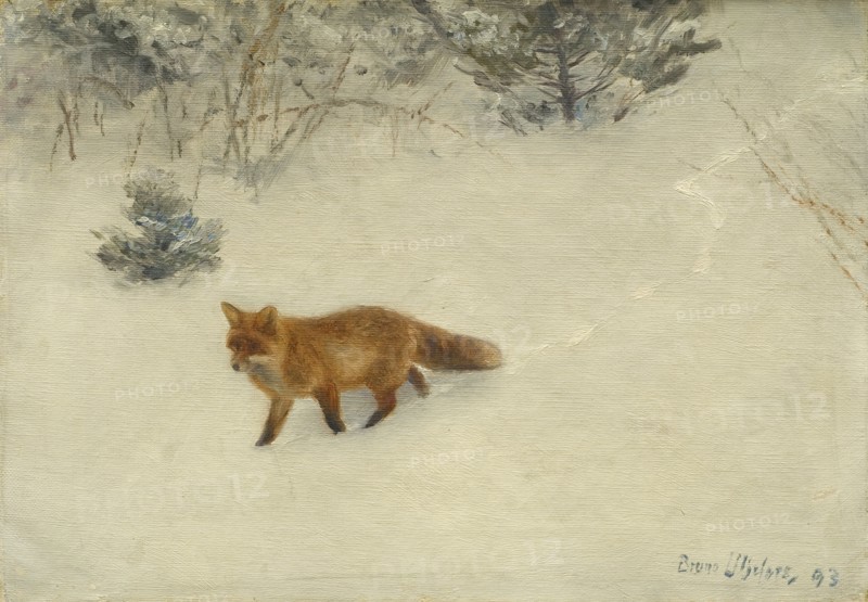 The Fox, 1893. Creator: Bruno Liljefors.