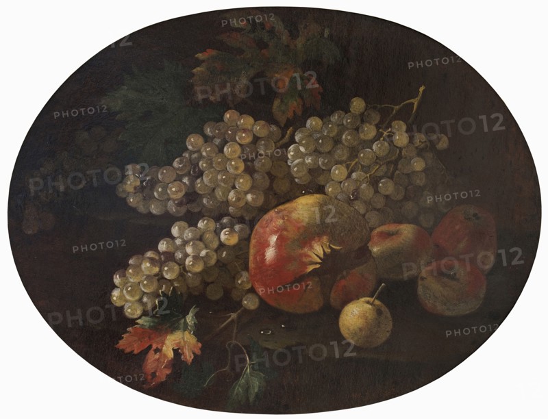 Still Life with Fruit. Creator: Giovanni Paolo Spadino.