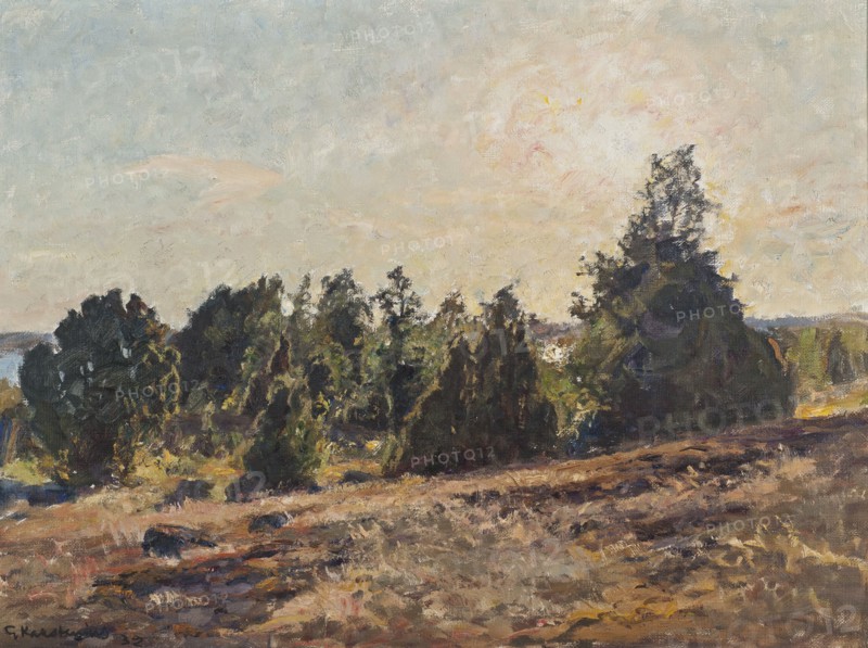 Towards Evening. Horsö in The Tjust archipelago, 1932. Creator: Gottfrid Kallstenius.