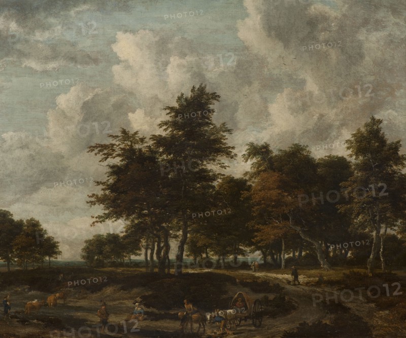 Road through a Grove. Creator: Jacob van Ruisdael.