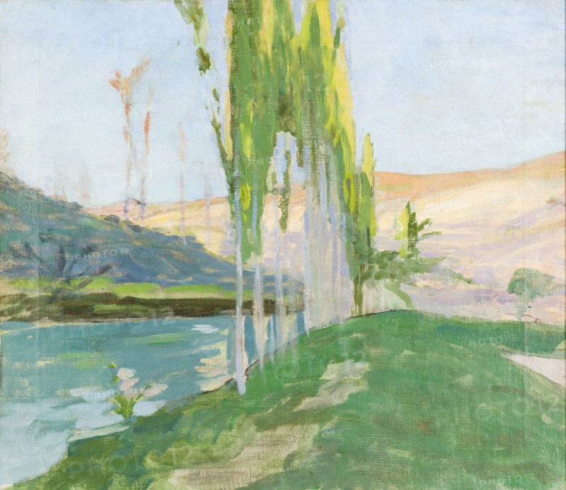 Poplars Growing near a Watercourse. Creator: Sven Richard Bergh.