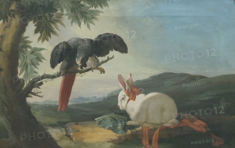 Parrot and Rabbit, 1750s. Creator: Johan Pasch.