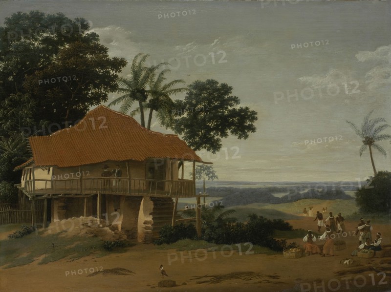 Brazilian Landscape with a Worker's House, c1655. Creator: Frans Post.