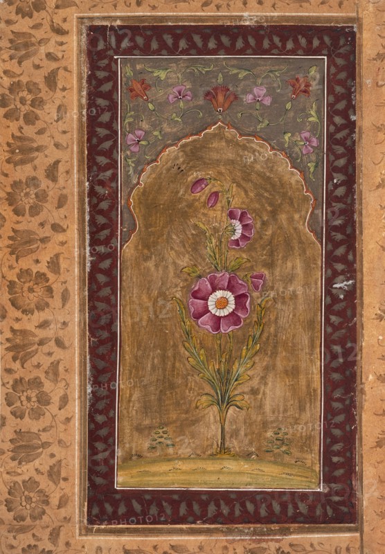 A Flower Study, between 1700 and 1725. Creator: Unknown.