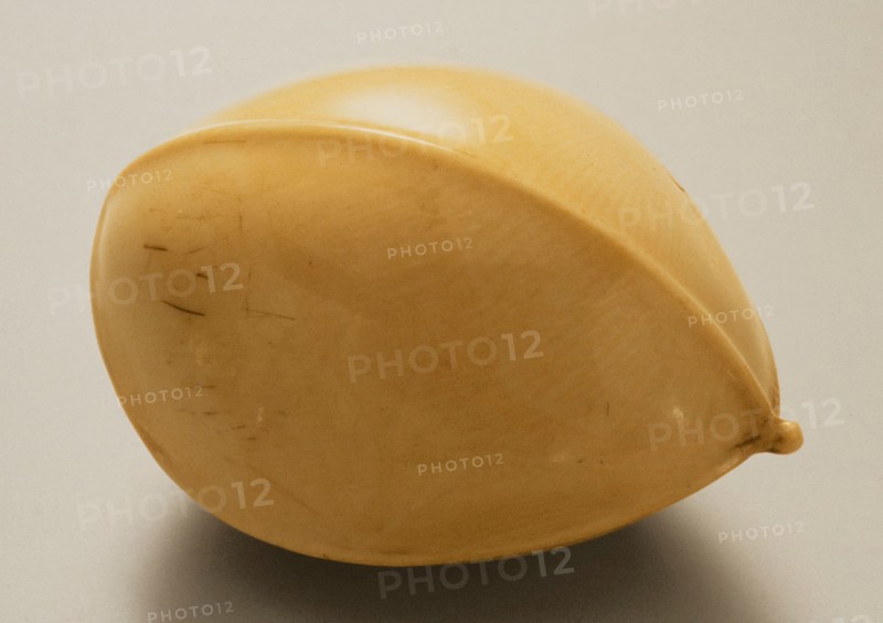 Gingko Nut, Mid-19th century. Creator: Ohara Mitsuhiro.