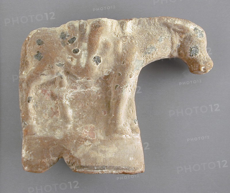 Donkey, 305 BCE-641 CE. Creator: Unknown.