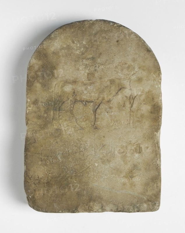 Votive Stele with Relief of the Apis Bull(?) and a Lotus, Greco 30th Dynasty-end of Ptolemaic Period Creator: Unknown.