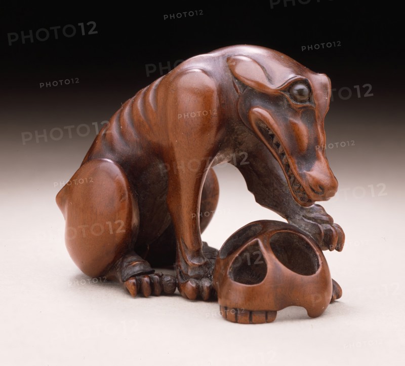 Wolf and Skull, 19th century. Creator: Unknown.