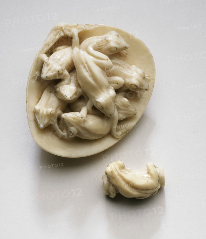 Frogs in Clamshell, Late 19th century. Creator: Unknown.