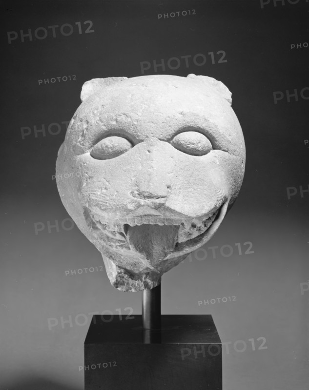 Head of a Lion, 7th century. Creator: Unknown.