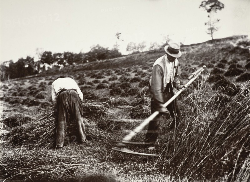 Faucheurs, Somme, 1890s, (1956). Creator: Eugene Atget.