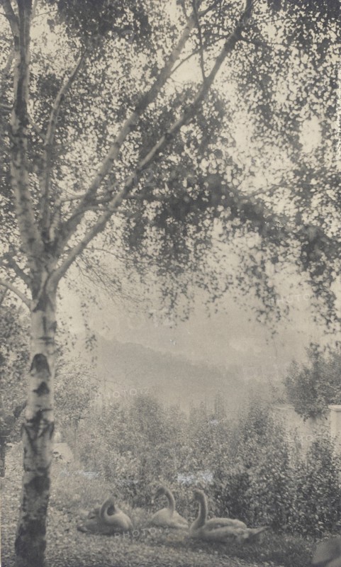 Rodin's Garden, c.1893. Creator: Gertrude Kasebier.