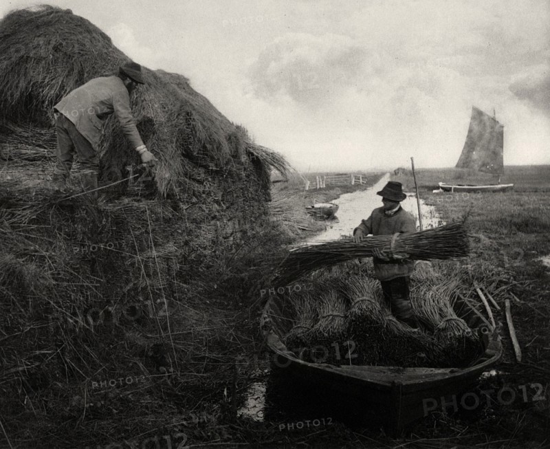 Ricking the Reed, 1886. Creator: Peter Henry Emerson.