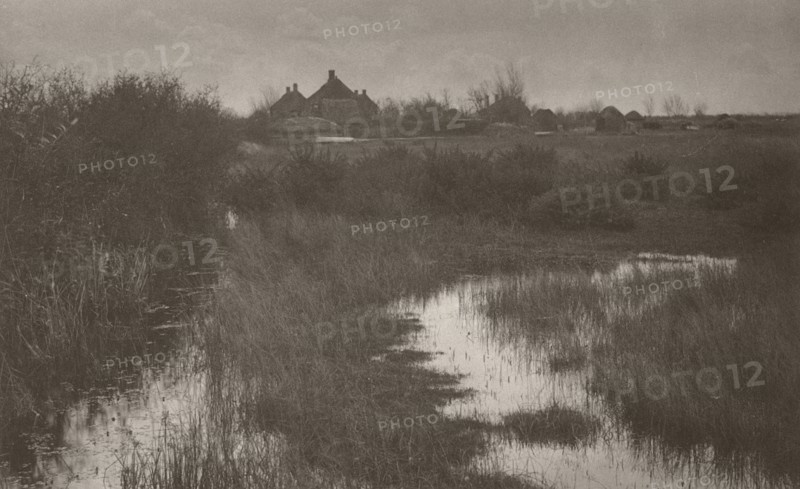 The Fringe of the Marsh, 1886. Creator: Peter Henry Emerson.