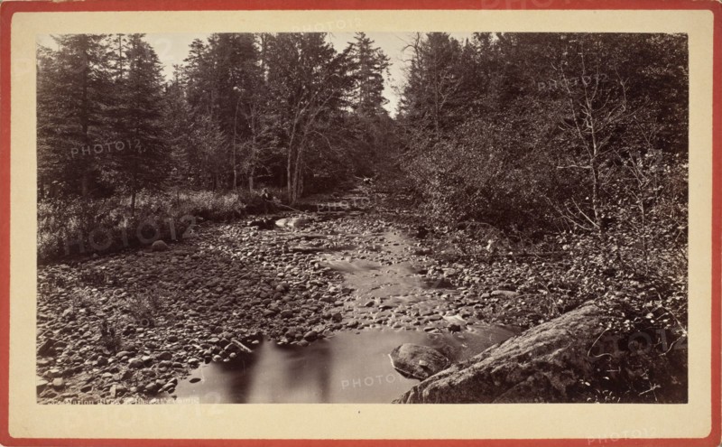 Long Lake, South From Floating Bridge, Printed 1880 circa. Creator: Seneca Ray Stoddard.