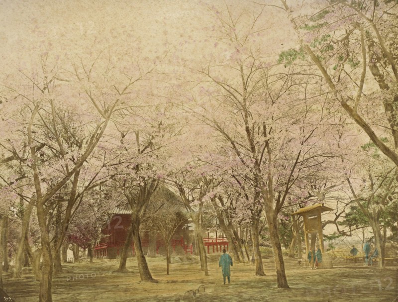Public Garden Uyeno Tokio, 1865. Creator: Unknown.