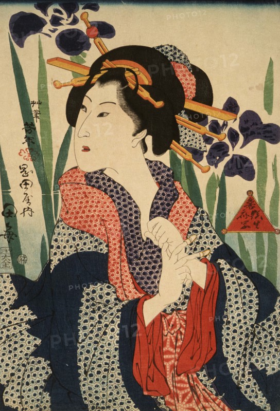Beauty with Irises, 19th century. Creator: Tsukioka Yoshitoshi.