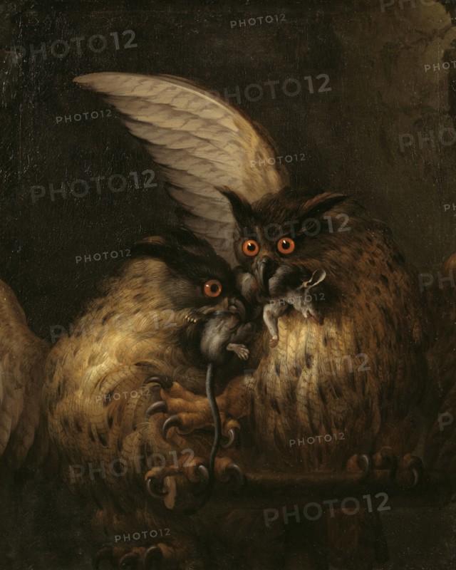 Two Owls Fighting over a Rat, late 17th-early 18th century. Creator: Hans Georg Muller.