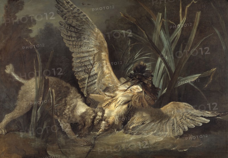 Spaniel Seizing a Bittern, 1725. Creator: Jean-Baptiste Oudry.