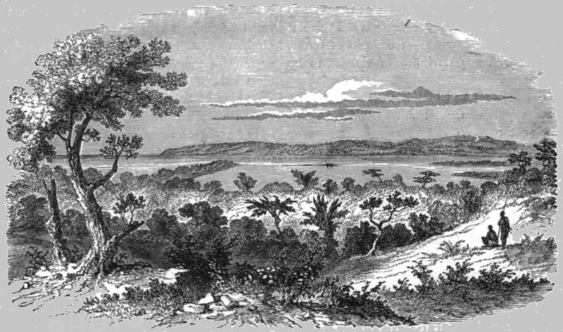 'View near Durban; A Few Words about Natal and Zululand', 1875. Creator: Unknown.