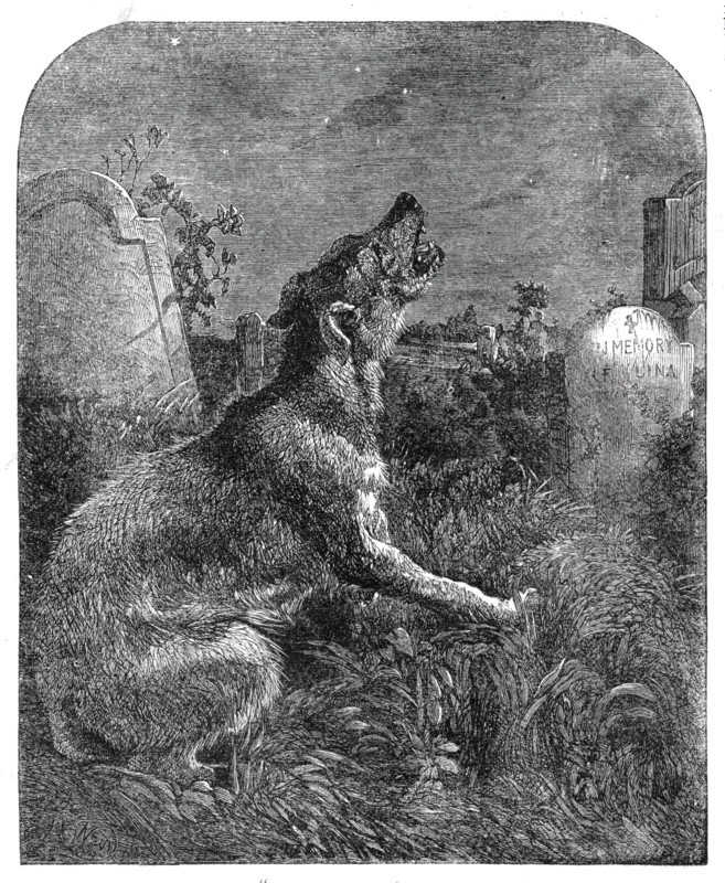 The Poor Man's Grave, 1860. Creator: Dalziel Brothers.