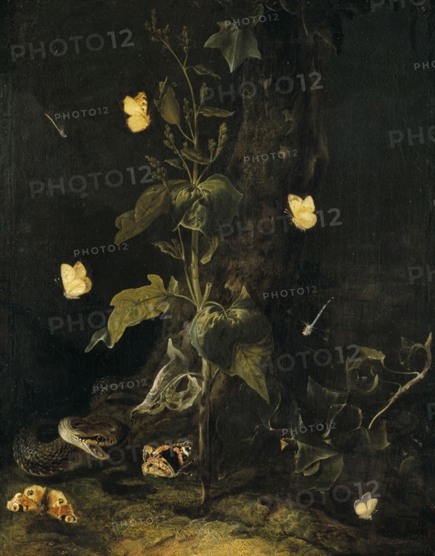 Serpent and Butterflies in the Woods, mid-17th century. Creator: Otto Marseus van Schrieck.