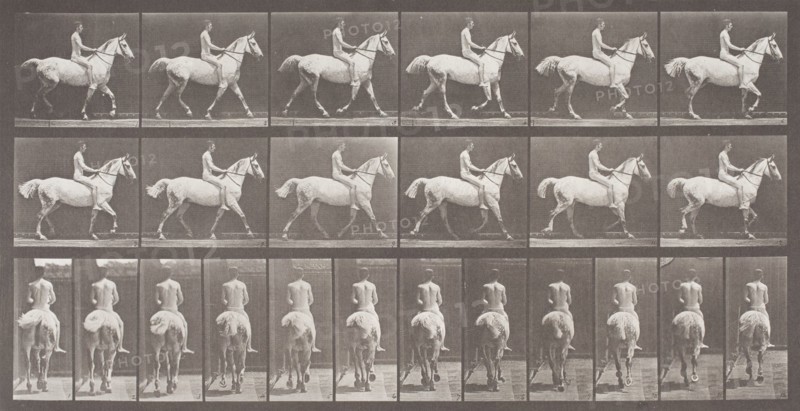 Smith Trotting Bareback, Printed 1887. Creator: Eadweard J Muybridge.