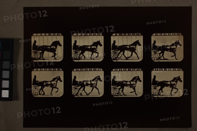 Animal Locomotion (Man In Horse-Drawn Cart), Printed 1881. Creator: Eadweard J Muybridge.