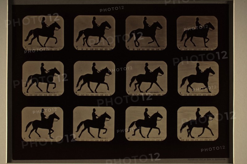 Animal Locomotion (Man W/ Derby On Horse), Printed 1881. Creator: Eadweard J Muybridge.