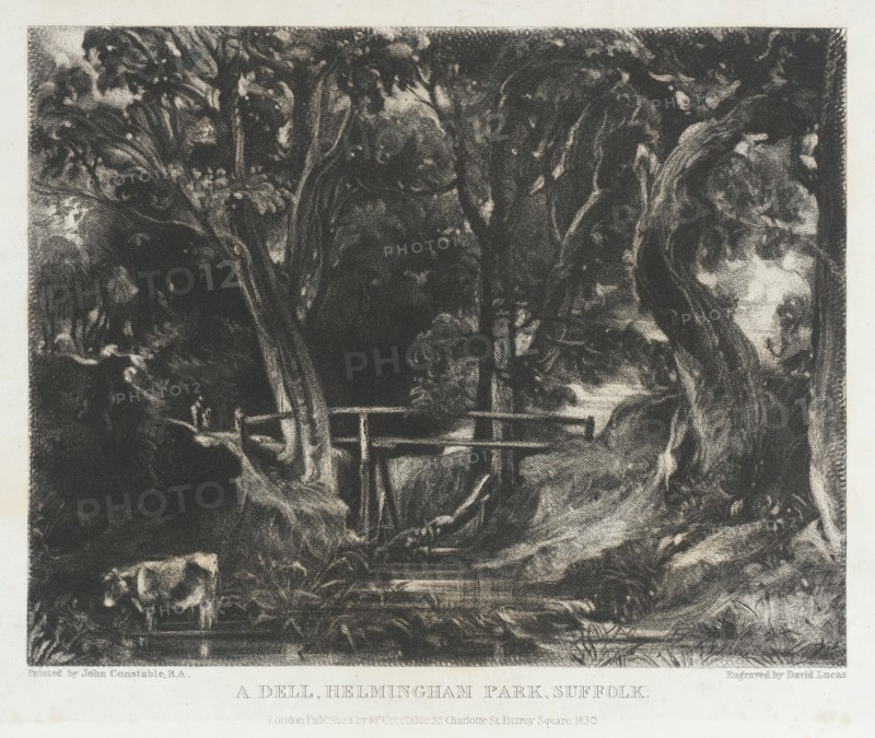 A Dell, Helmingham Park, Suffolk, 1830. Creator: David Lucas.