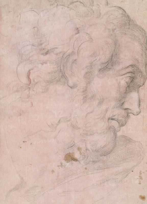 Head of A Bearded Man, between 1596 and 1641. Creator: Giovanni Angelo Canini.