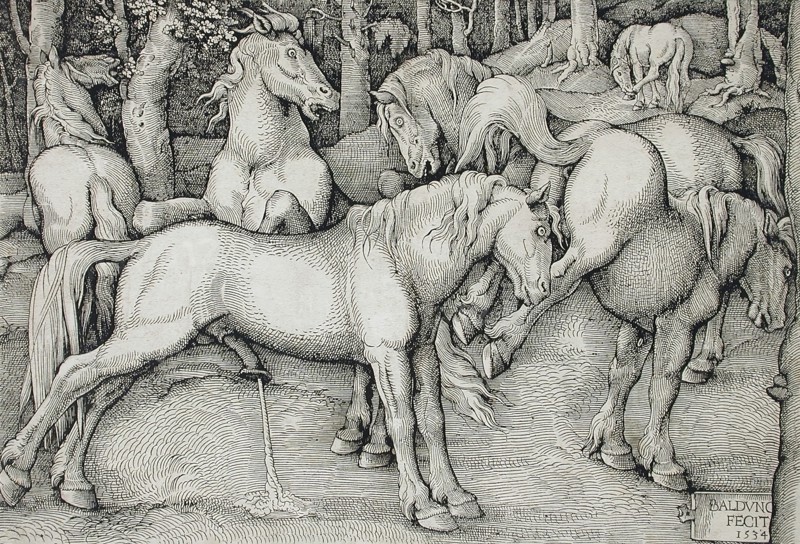 Stallion and Kicking Mare with Wild Horses, 1534. Creator: Hans Baldung.