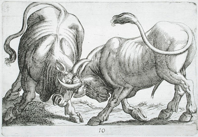 Two Bulls Fighting, 1610. Creator: Hendrick Hondius I.