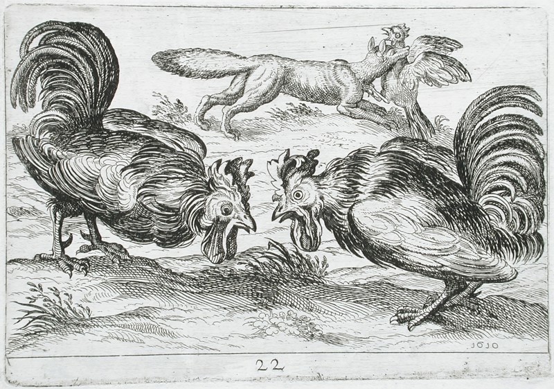 Two Roosters Fighting, 1610. Creator: Hendrick Hondius I.