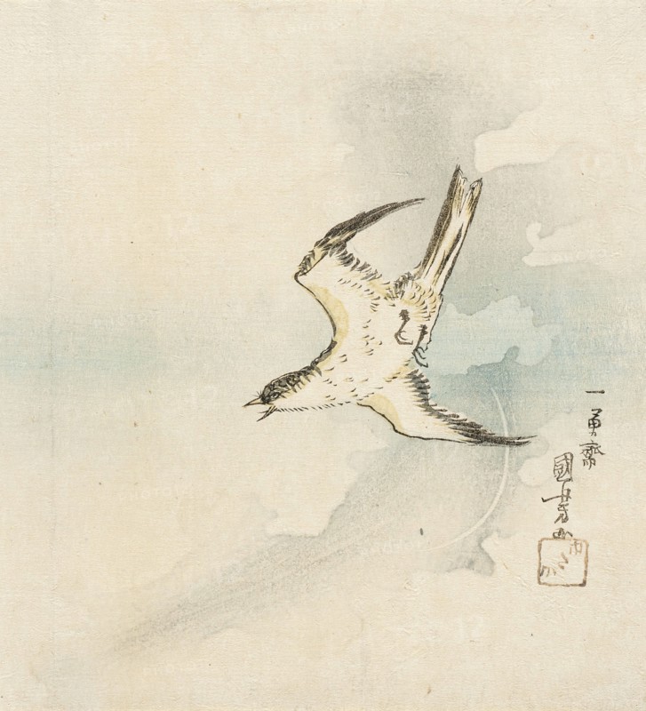 Hototogisu, Mid-19th century. Creator: Utagawa Kuniyoshi.