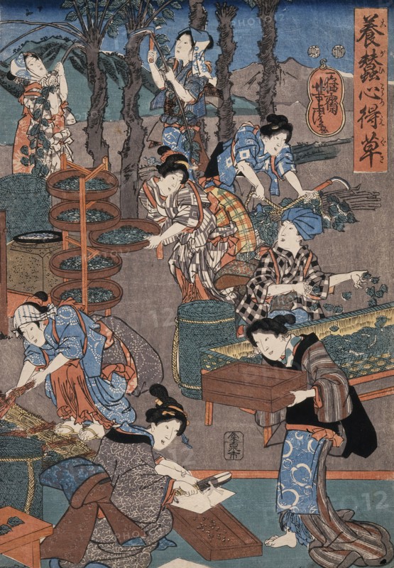 Notes on Sericulture, 19th century. Creator: Utagawa Yoshitora.