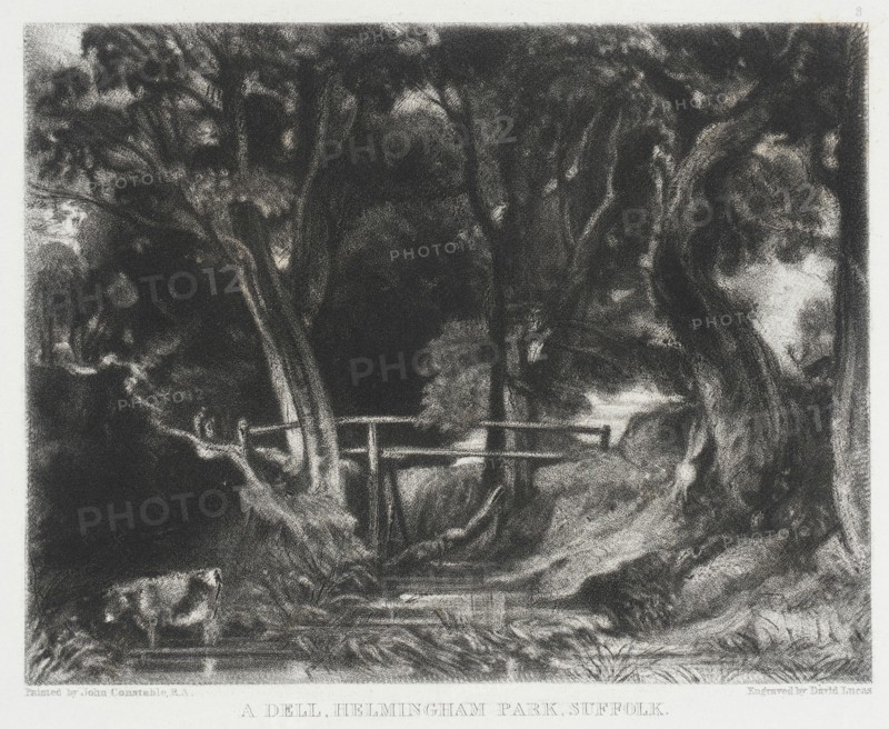 A Dell, Helmingham Park, Suffolk, 1830. Creator: David Lucas.