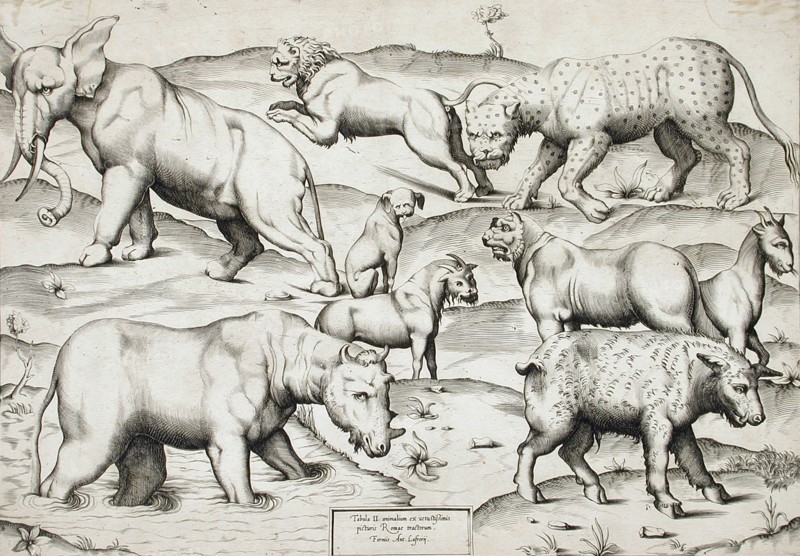 Sheet of Animals, 1547. Creators: Enea Vico, Antonio Lafreri.