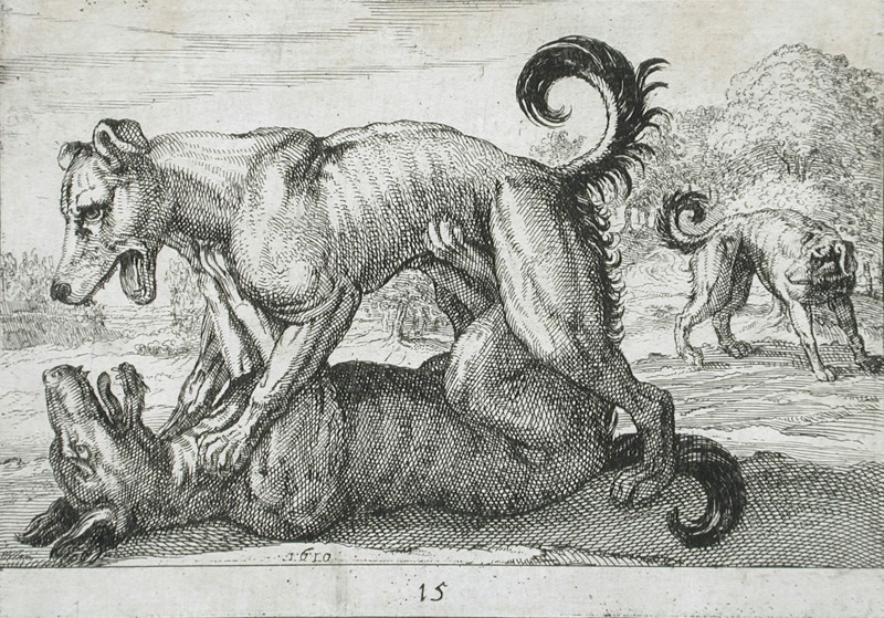 Two Dogs Fighting, 1610. Creator: Hendrick Hondius I.