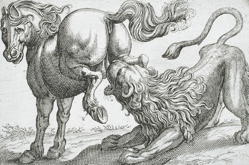 A Horse Kicking a Lion, 1610. Creator: Hendrick Hondius I.