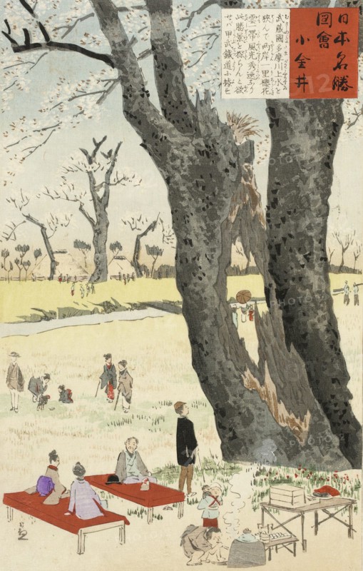 Koganei, Cherry Blossoms, 1896. Creator: Kobayashi Kiyochika.