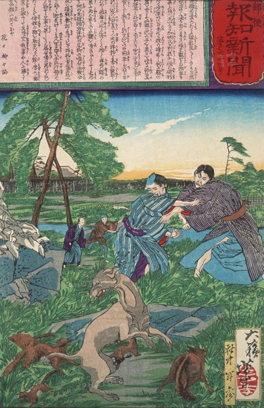 Raccoon Dog Protects Its Cubs from Attack by a Dog, c1875. Creator: Tsukioka Yoshitoshi.