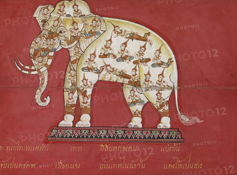 Illustration from a treatise on elephants, 1824.  Creator: Unknown.