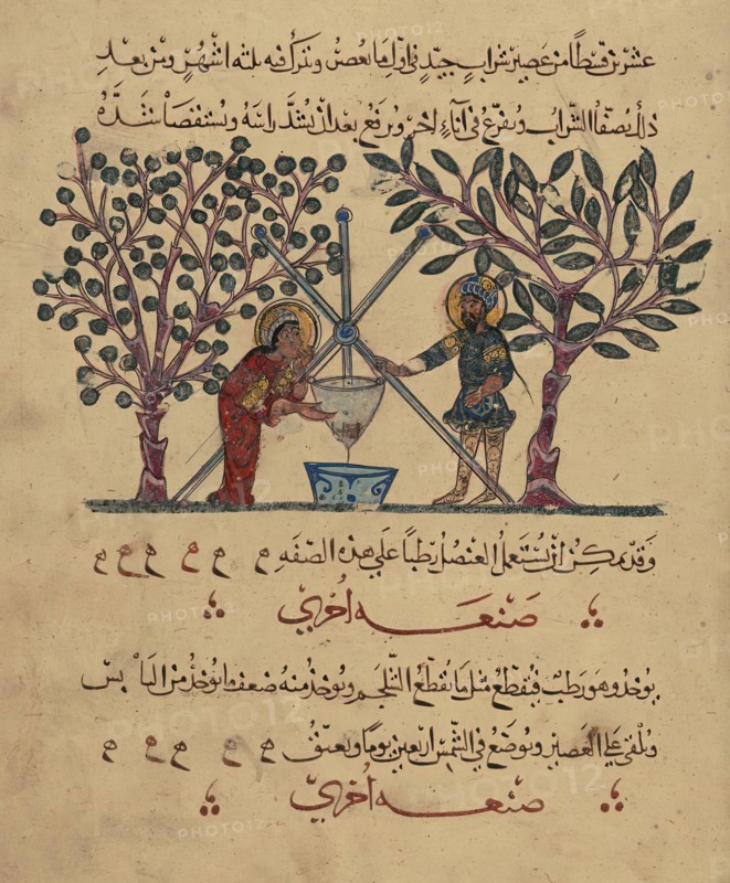 Single Leaf from the Arabic Version of Dioscorides' De materia medica, Rajab 621 AH/AD 1224. Creator: Unknown.