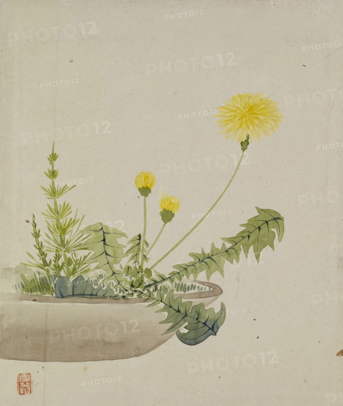 Leaf from Album Depicting Birds, Flowers, Landscapes, and Flower Pots, 1876. Creator: Yoshizawa Setsuan.