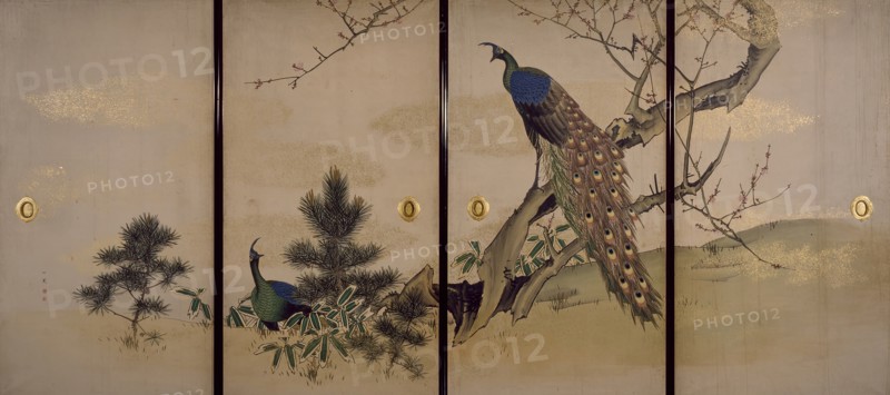 Peacock and Peahen with Flowering Prunus, c1840-1850. Creator: Mori Ippô.